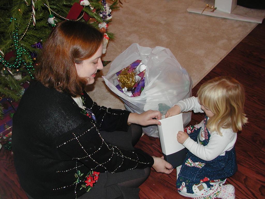 camera/2001/12(December)/12_25_Christmas_Day/1024x768_PC250076.JPG