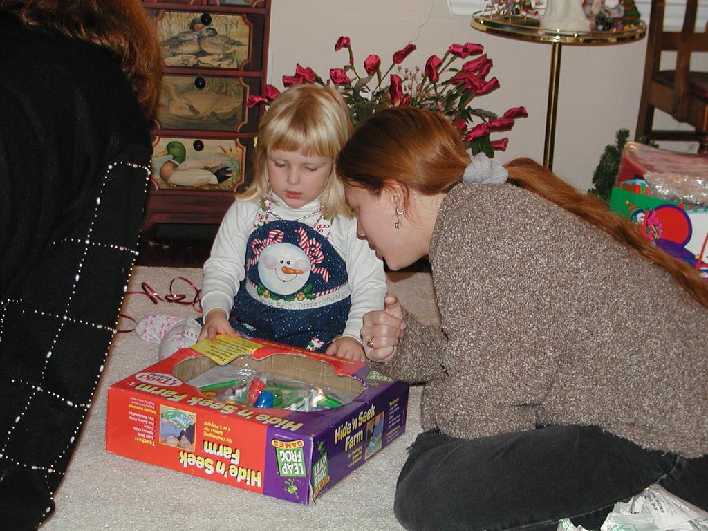 camera/2001/12(December)/12_25_Christmas_Day/1024x768_PC250082.JPG
