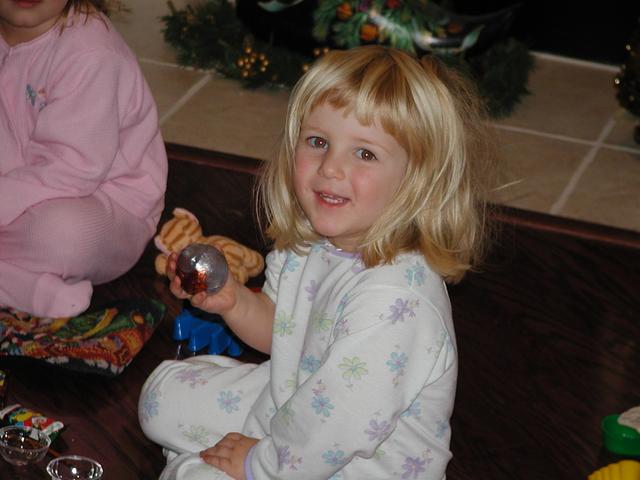 camera/2001/12(December)/12_25_Christmas_Day/640x480_PC250024.JPG