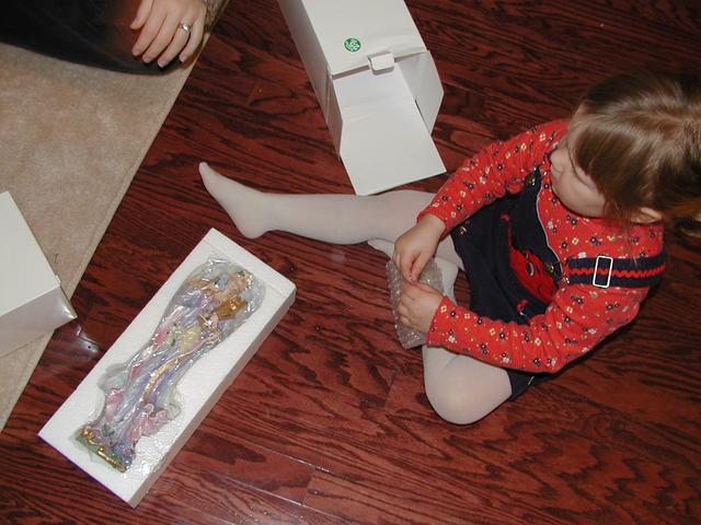 camera/2001/12(December)/12_25_Christmas_Day/640x480_PC250055.JPG