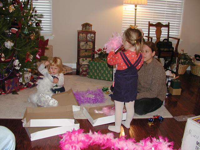 camera/2001/12(December)/12_25_Christmas_Day/640x480_PC250065.JPG