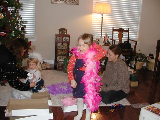 camera/2001/12(December)/12_25_Christmas_Day/640x480_PC250066.JPG