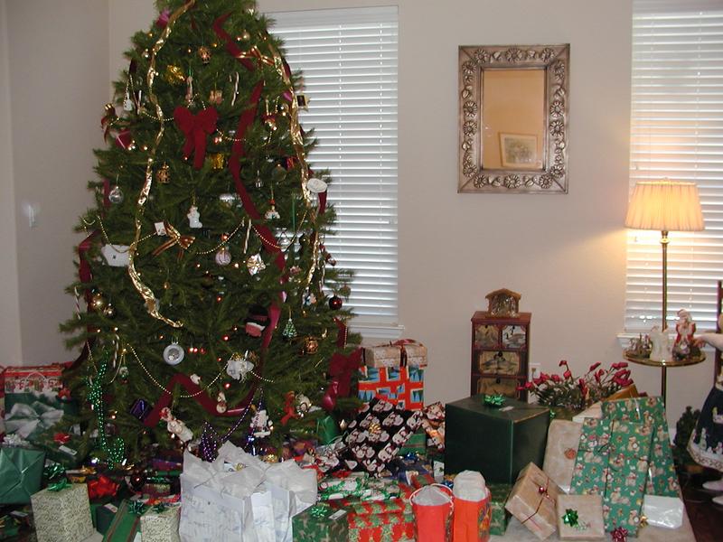 camera/2001/12(December)/12_25_Christmas_Day/800x600_PC250028.JPG