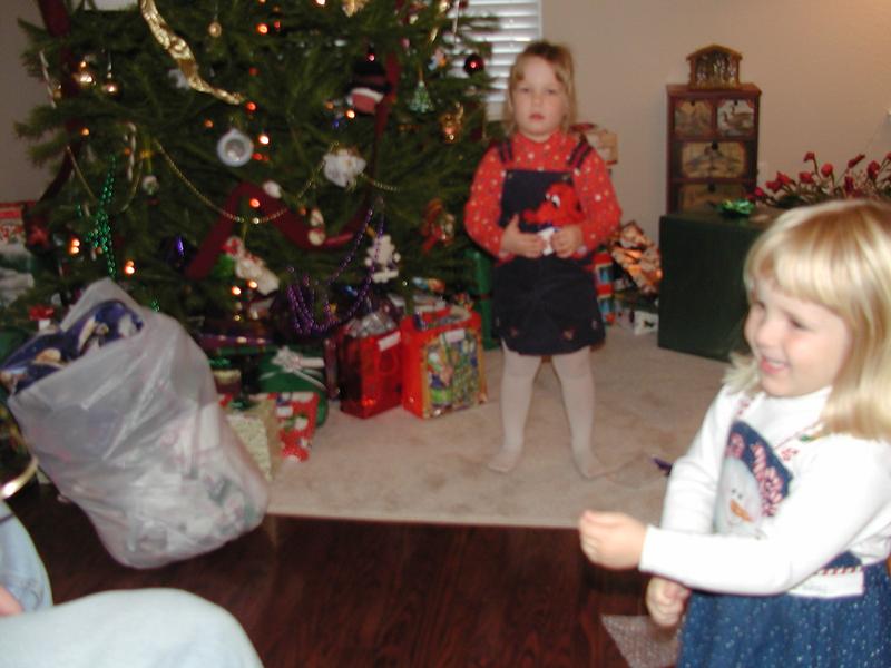 camera/2001/12(December)/12_25_Christmas_Day/800x600_PC250056.JPG