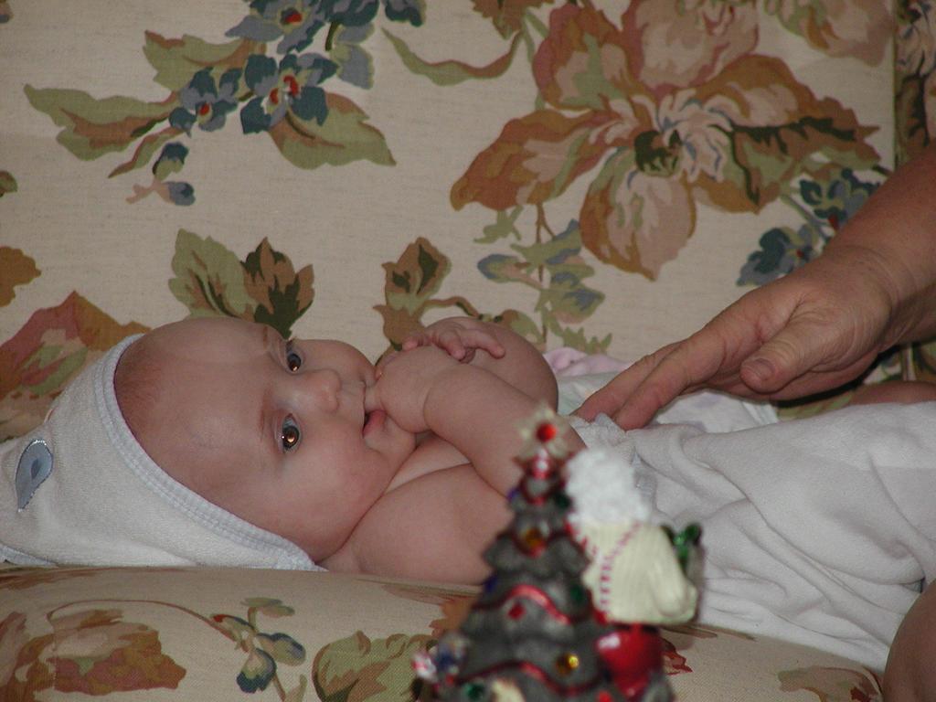 camera/2001/12(December)/12_29_Davis'_Christmas/1024x768_PC290003.JPG