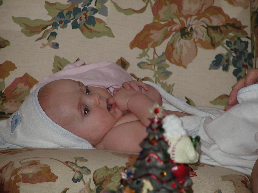 camera/2001/12(December)/12_29_Davis'_Christmas/1024x768_PC290004.JPG
