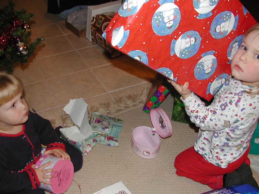 camera/2001/12(December)/12_29_Davis'_Christmas/1024x768_PC290035.JPG