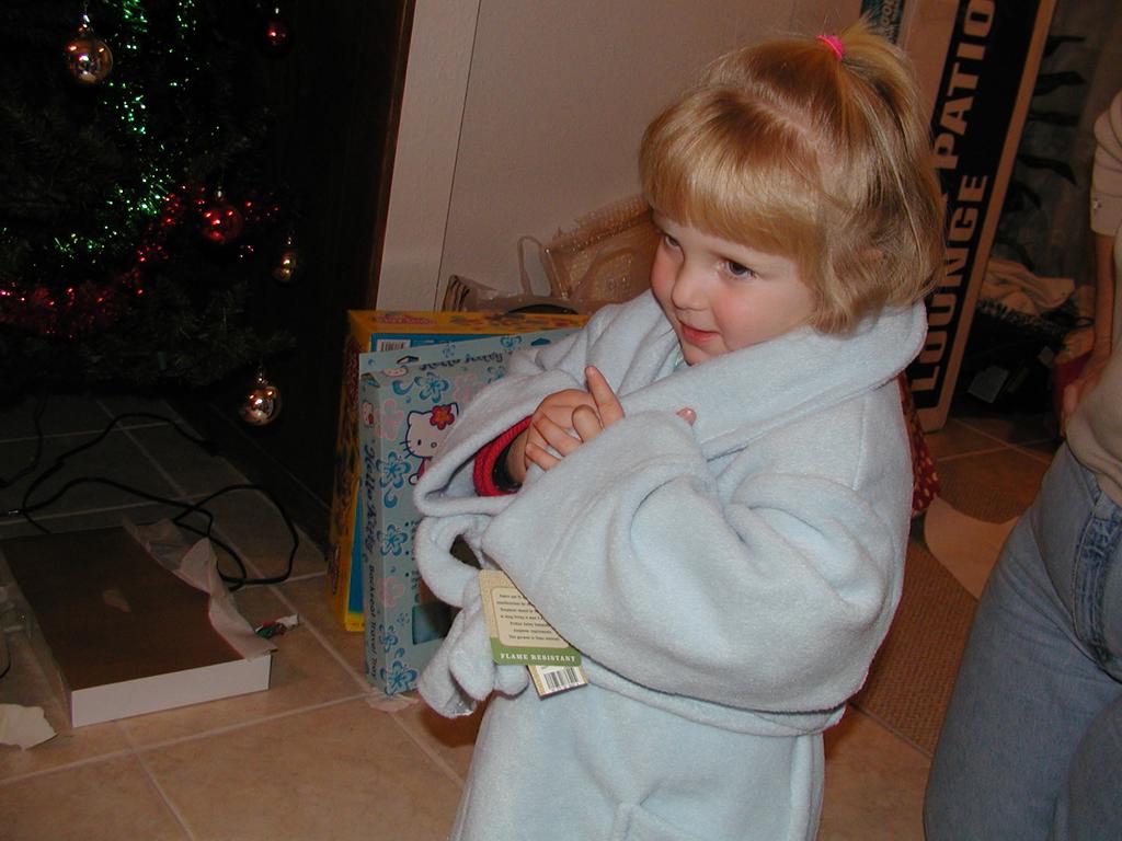 camera/2001/12(December)/12_29_Davis'_Christmas/1024x768_PC290049.JPG