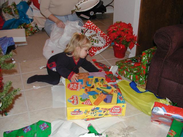 camera/2001/12(December)/12_29_Davis'_Christmas/640x480_PC290041.JPG
