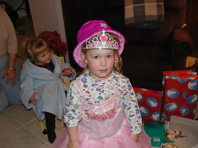camera/2001/12(December)/12_29_Davis'_Christmas/640x480_PC290045.JPG