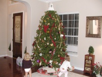 camera/2001/12(December)/Miscellaneous/PC020023.JPG