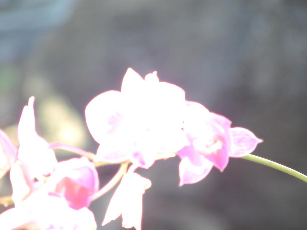 p1230014.jpg