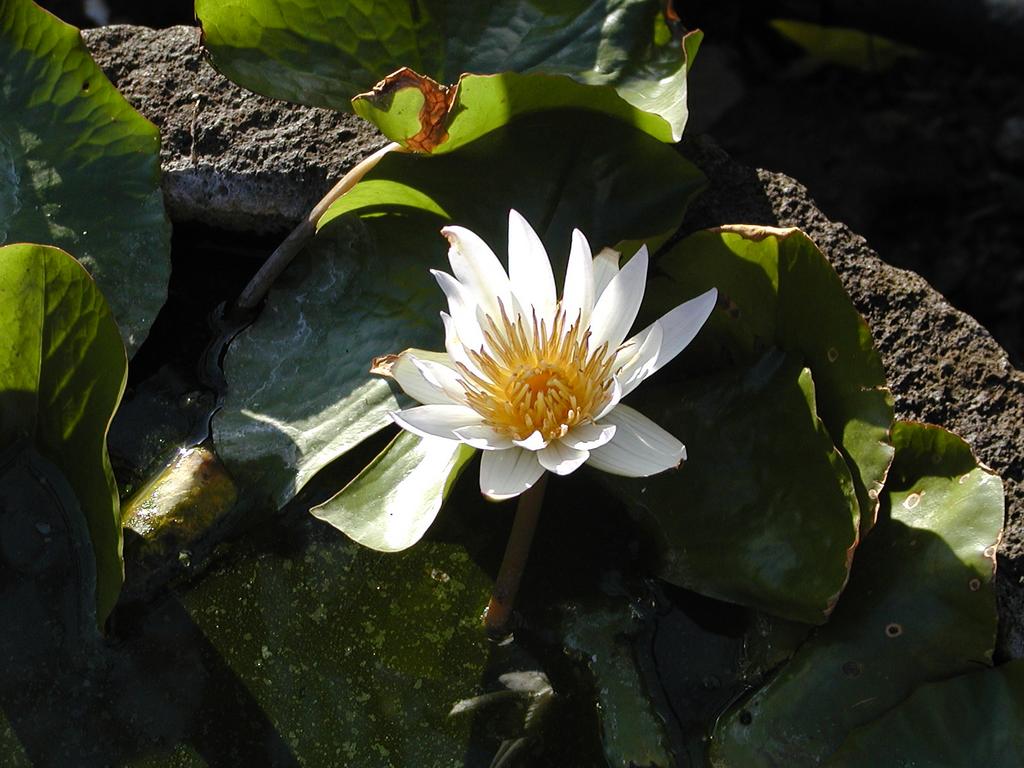 p1230017.jpg