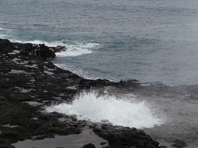 p1240003.jpg