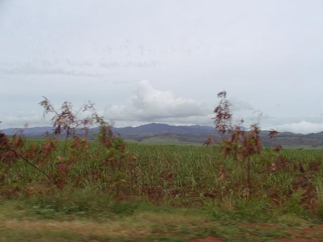 p1240012.jpg