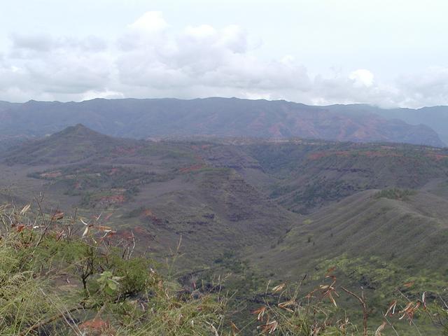 p1240018.jpg