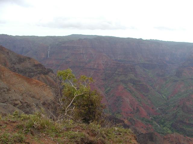 p1240021.jpg