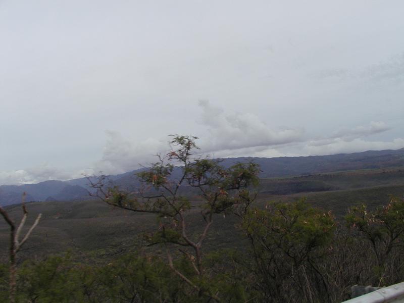 p1240017.jpg