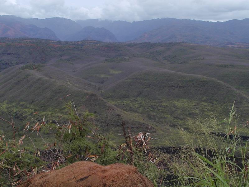 p1240020.jpg