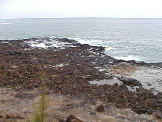 p1240007.png