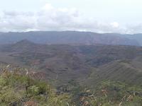 p1240018.jpg