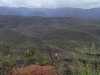 p1240020.jpg