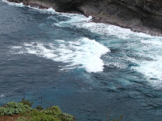 p1250062.jpg