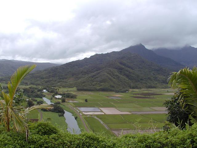 p1250070.jpg