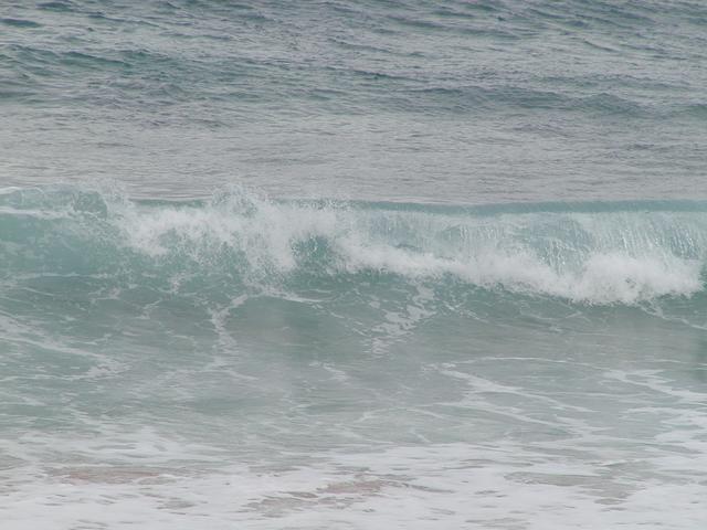 p1250071.jpg