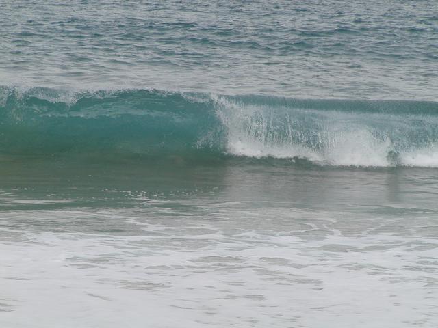p1250072.jpg