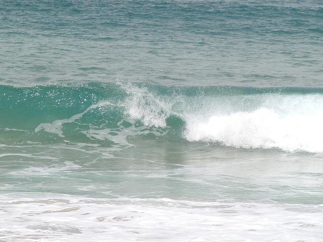 p1250077.jpg