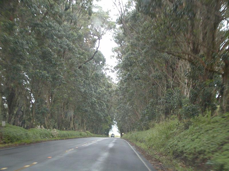 p1250032.jpg