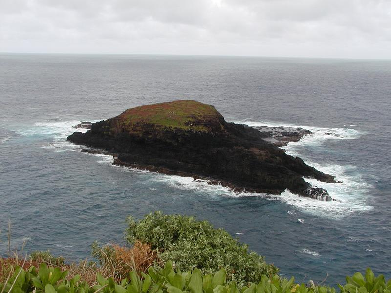 p1250046.jpg