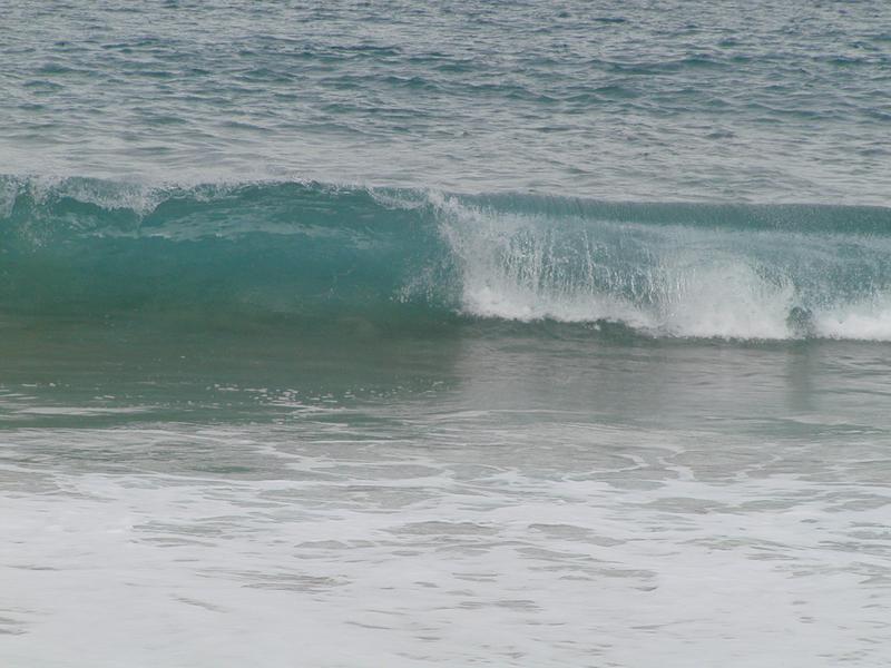 p1250072.jpg