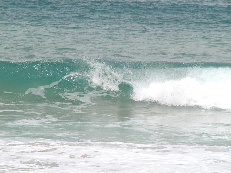 p1250077.jpg