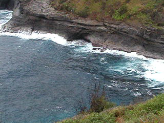 p1250043.png
