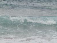 p1250071.jpg