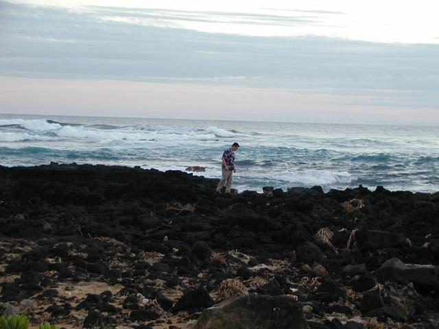 camera/2002/01(January)/Slideshow/640x480_762.jpg