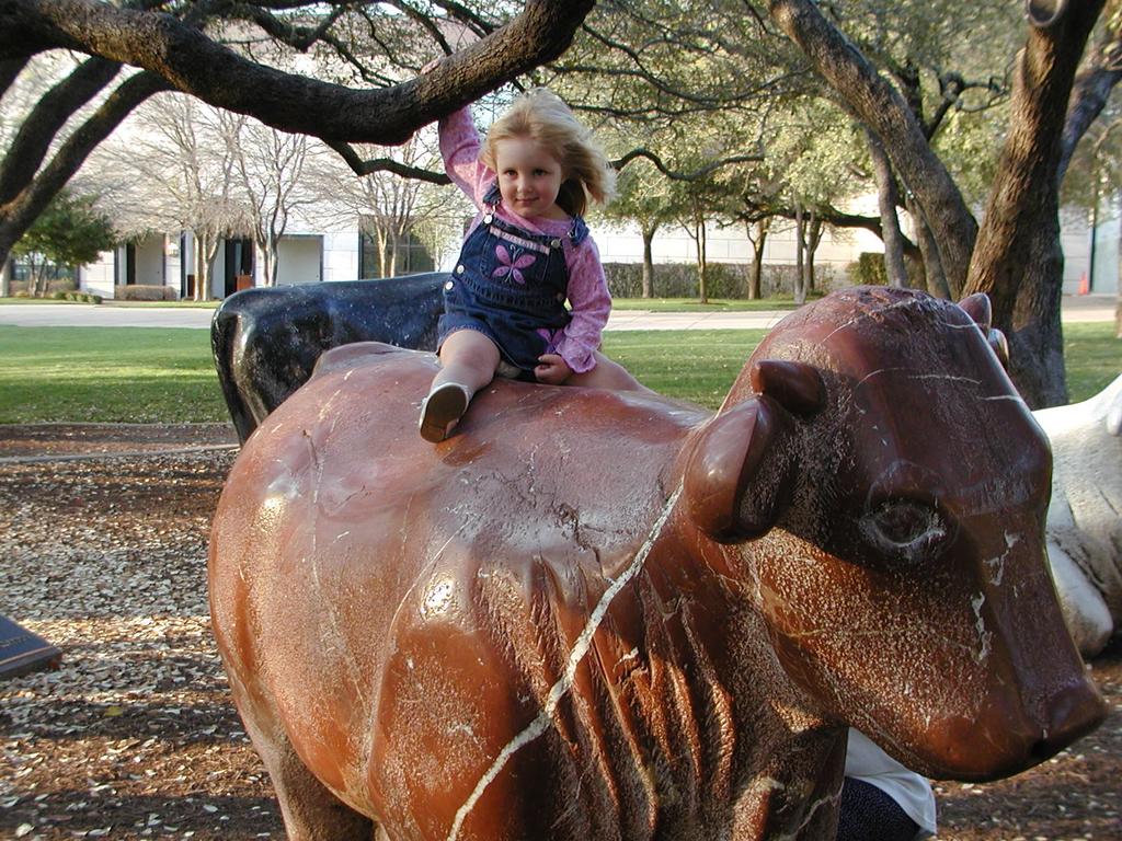 camera/2002/03(March)/03_23_Arboretum_Cows/1024x768_P3230013.JPG