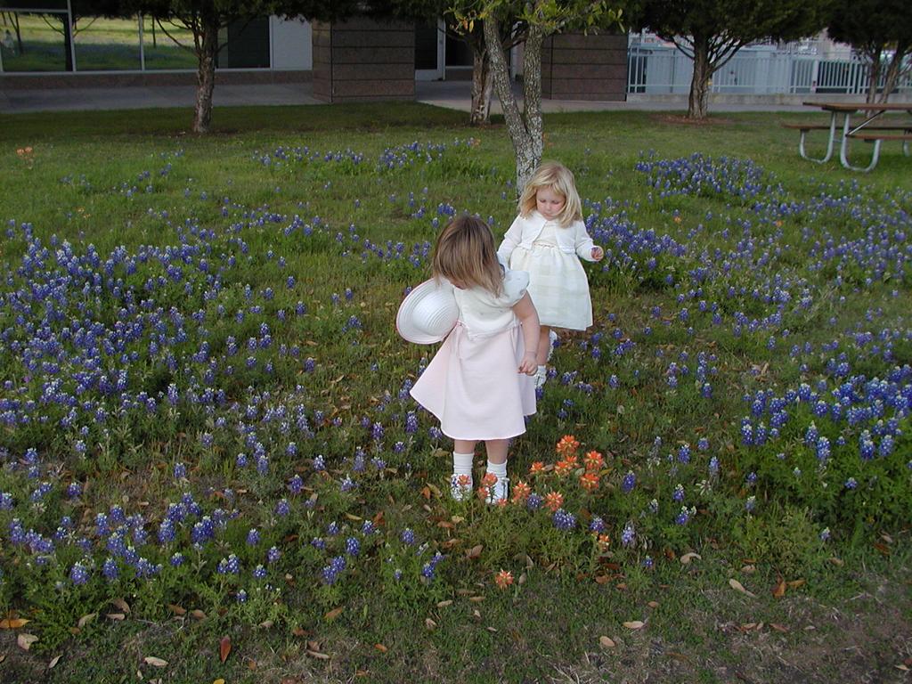 camera/2002/04(April)/04_09_Bluebonnets/1024x768_p4090002.jpg