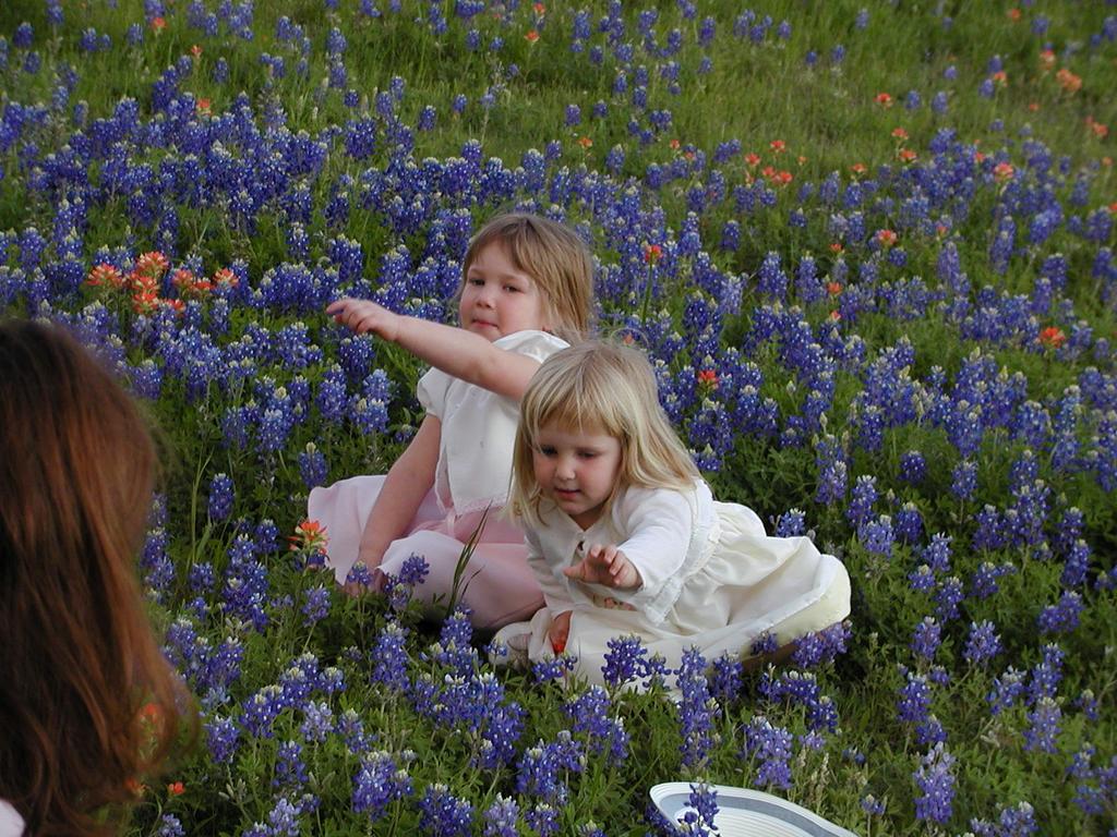 camera/2002/04(April)/04_09_Bluebonnets/1024x768_p4090014.jpg