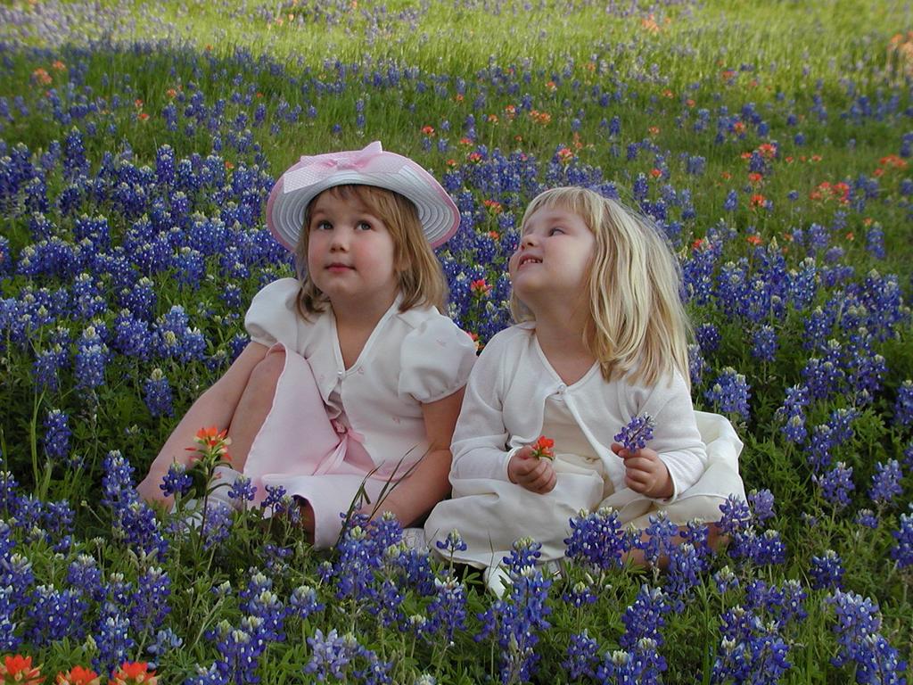 camera/2002/04(April)/04_09_Bluebonnets/1024x768_p4090020.jpg
