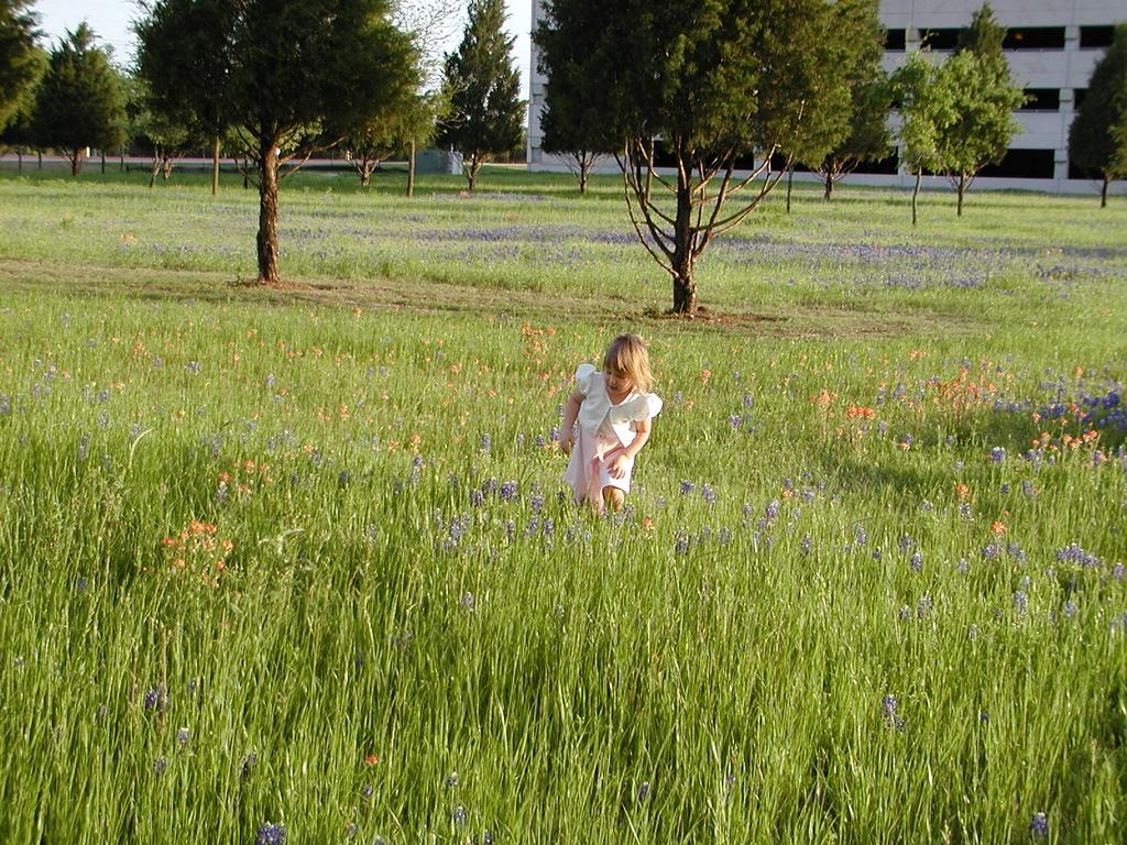 camera/2002/04(April)/04_09_Bluebonnets/1024x768_p4090030.jpg