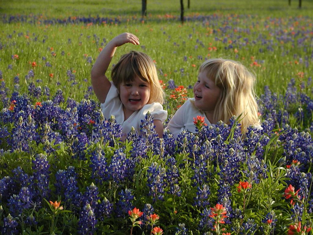 camera/2002/04(April)/04_09_Bluebonnets/1024x768_p4090040.jpg