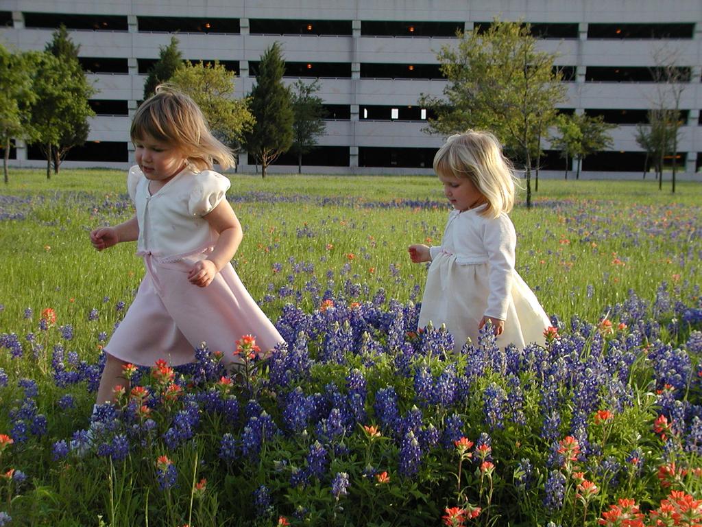 p4090041.jpg