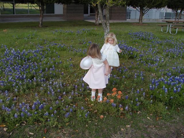 camera/2002/04(April)/04_09_Bluebonnets/640x480_p4090002.jpg