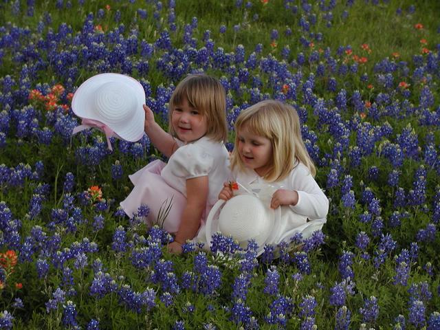 camera/2002/04(April)/04_09_Bluebonnets/640x480_p4090011.jpg
