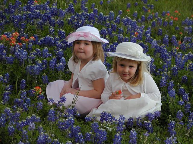 camera/2002/04(April)/04_09_Bluebonnets/640x480_p4090012.jpg