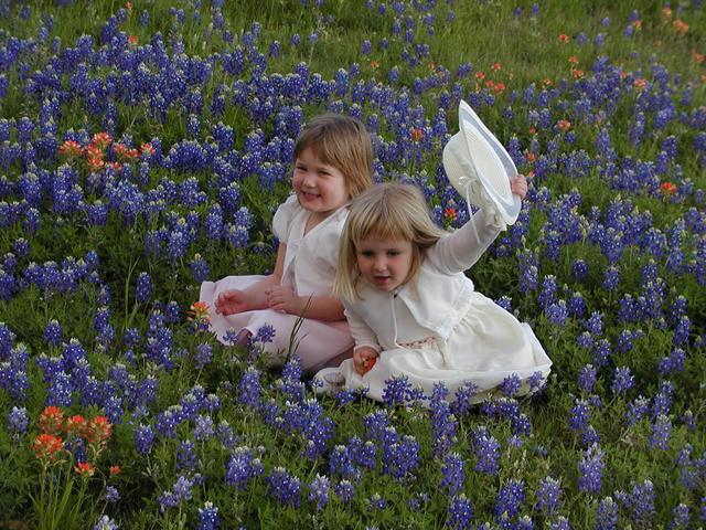 camera/2002/04(April)/04_09_Bluebonnets/640x480_p4090013.jpg