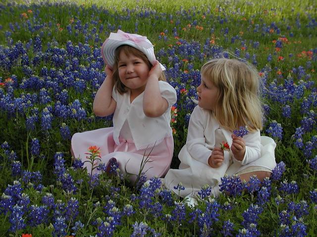 camera/2002/04(April)/04_09_Bluebonnets/640x480_p4090017.jpg